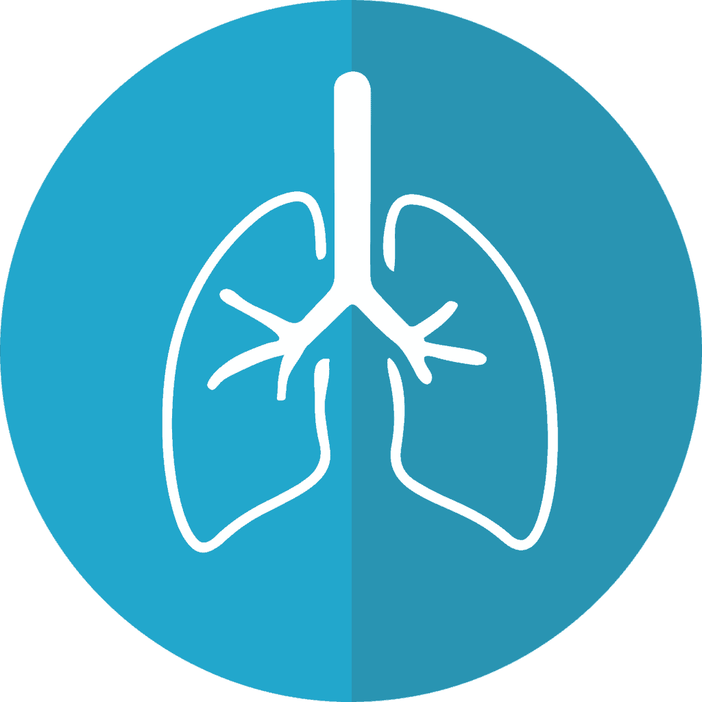bronchitis vs pneumonia lungs icon