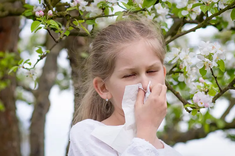 Expert Care for Asthma & Allergy